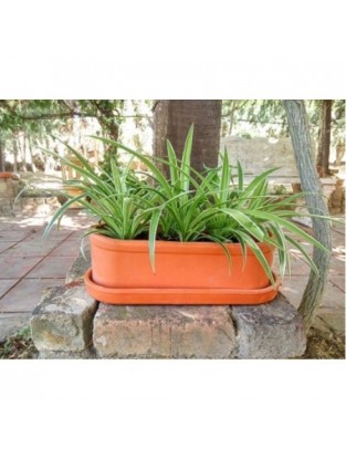 JARDINERA ALARGADA BARRO 33CM